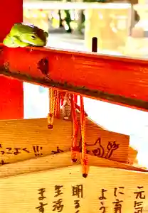 國魂神社の絵馬(2021年07月22日(木) 15時44分51秒投稿)