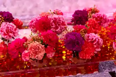 宮地嶽神社(福岡県)