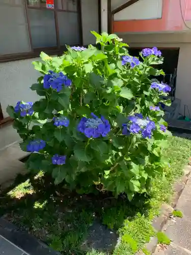 美江寺(岐阜県)