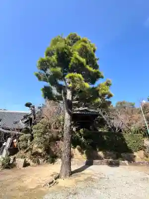 高倉寺の{uncategorized: "未分類", other: "その他", undefined: "問題あり", building: "その他建物", grave: "お墓", sacred_gate: "鳥居", guardian: "狛犬", statue: "像", buddha: "仏像", history: "歴史", nature: "自然", garden: "庭園", animal: "動物", pagoda: "塔", temizu: "手水舎", mountain_gate: "山門・神門", sanctuary: "本殿・本堂", subordinate: "末社・摂社", art: "芸術", scenery: "景色", jizo: "地蔵", ema: "絵馬", goshuin: "御朱印", omikuji: "おみくじ", items: "授与品その他", amulet: "お守り", goshuincho: "御朱印帳", eats: "食事", festival: "お祭り", votive_dance: "神楽", shichigosan: "七五三参", wedding: "結婚式", experience: "体験その他", initially: "初詣", around: "周辺", anti_infection: "感染症対策"}