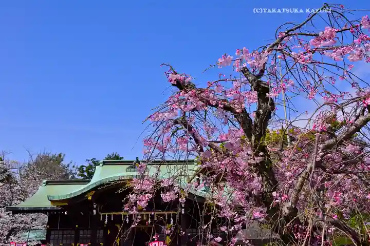 日枝神社(静岡県)