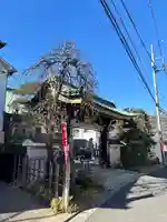 万福寺(東京都)