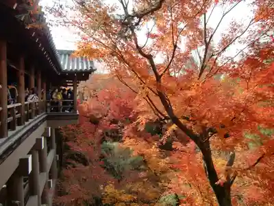 東福禅寺(東福寺)(京都府)