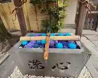 蛇窪神社の{uncategorized: "未分類", other: "その他", undefined: "問題あり", building: "その他建物", grave: "お墓", sacred_gate: "鳥居", guardian: "狛犬", statue: "像", buddha: "仏像", history: "歴史", nature: "自然", garden: "庭園", animal: "動物", pagoda: "塔", temizu: "手水舎", mountain_gate: "山門・神門", sanctuary: "本殿・本堂", subordinate: "末社・摂社", art: "芸術", scenery: "景色", jizo: "地蔵", ema: "絵馬", goshuin: "御朱印", omikuji: "おみくじ", items: "授与品その他", amulet: "お守り", goshuincho: "御朱印帳", eats: "食事", festival: "お祭り", votive_dance: "神楽", shichigosan: "七五三参", wedding: "結婚式", experience: "体験その他", initially: "初詣", around: "周辺", anti_infection: "感染症対策"}