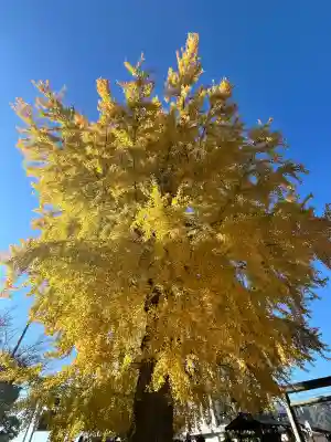 丹生酒殿神社(和歌山県)