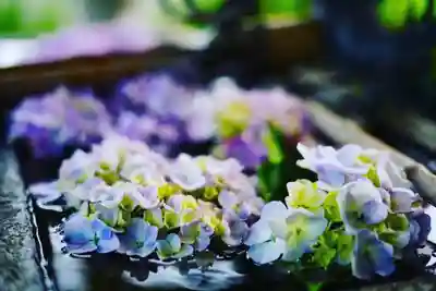 龍泉寺の手水舎