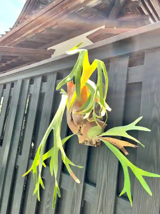三柱神社(福岡県)