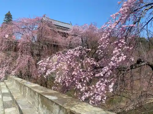 眞田神社の{uncategorized: "未分類", other: "その他", undefined: "問題あり", building: "その他建物", grave: "お墓", sacred_gate: "鳥居", guardian: "狛犬", statue: "像", buddha: "仏像", history: "歴史", nature: "自然", garden: "庭園", animal: "動物", pagoda: "塔", temizu: "手水舎", mountain_gate: "山門・神門", sanctuary: "本殿・本堂", subordinate: "末社・摂社", art: "芸術", scenery: "景色", jizo: "地蔵", ema: "絵馬", goshuin: "御朱印", omikuji: "おみくじ", items: "授与品その他", amulet: "お守り", goshuincho: "御朱印帳", eats: "食事", festival: "お祭り", votive_dance: "神楽", shichigosan: "七五三参", wedding: "結婚式", experience: "体験その他", initially: "初詣", around: "周辺", anti_infection: "感染症対策"}