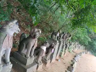 高山稲荷神社の狛犬