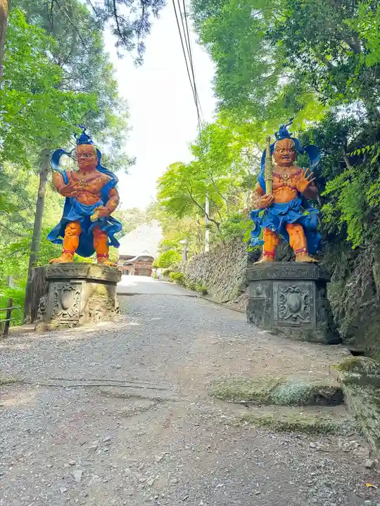 天龍寺(埼玉県)