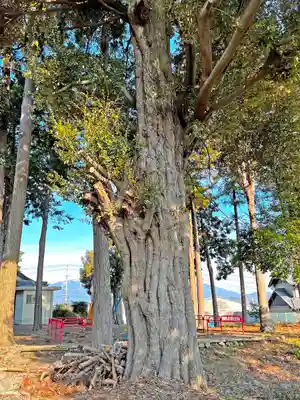 大領神社(岐阜県)