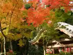 赤山禅院(京都府)