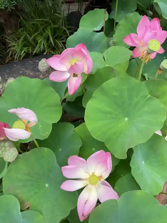 法住寺(愛知県)