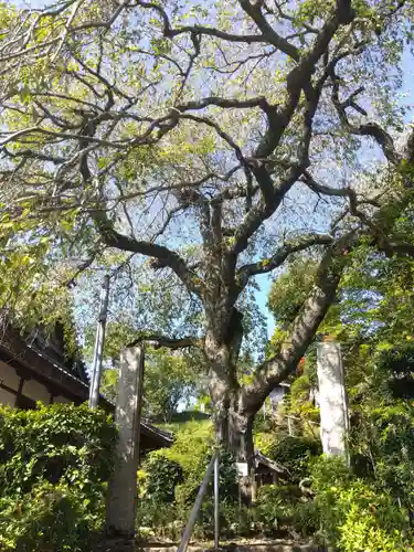 雲源寺(京都府)