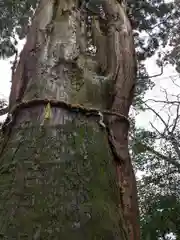 白山比咩神社(石川県)