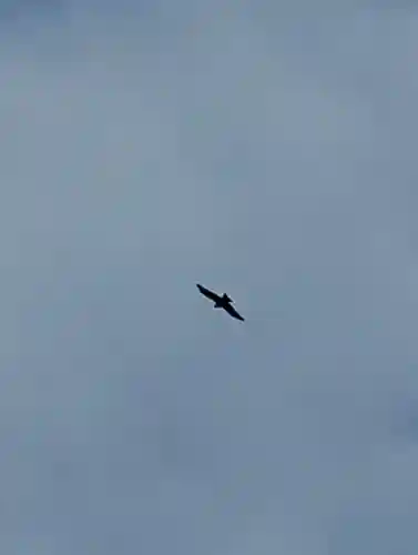 宗龍寺(長野県)