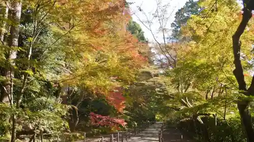 光明寺（粟生光明寺）の庭園