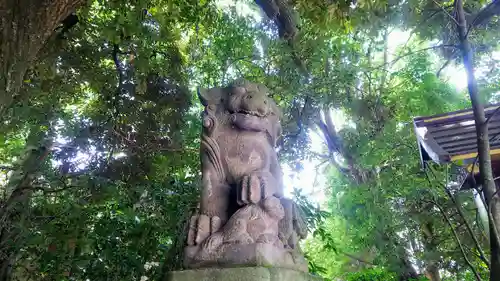 小金井神社の狛犬