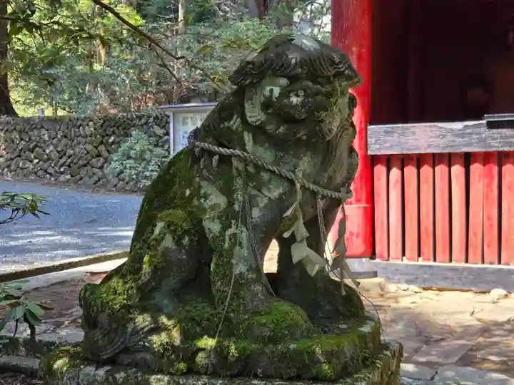 花園神社(茨城県)