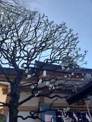 穏田神社(東京都)