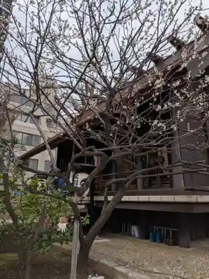 高円寺氷川神社(東京都)