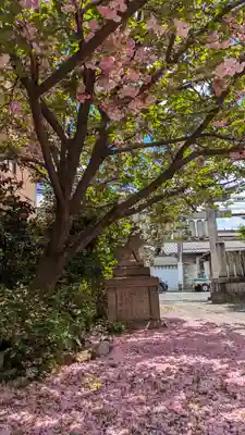 若宮神社の自然