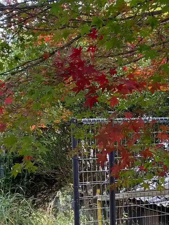 柳谷観音 楊谷寺(京都府)