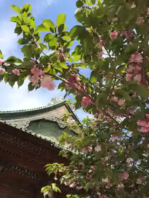 護国寺のその他建物