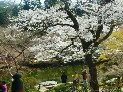 醍醐寺(京都府)