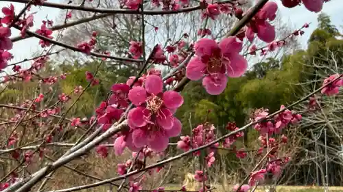 永福寺　童子堂(埼玉県)