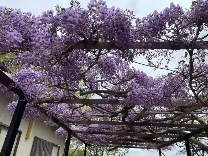 原谷弁財天(京都府)