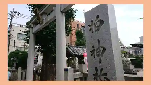 柏神社(千葉県)