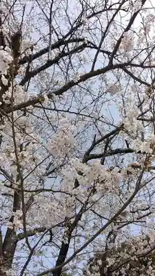 比佐豆知神社(三重県)