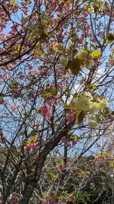 圓光寺(京都府)