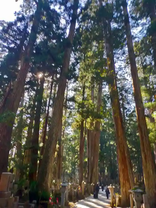 高野山金剛峯寺奥の院(和歌山県)