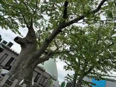 阿邪訶根神社(福島県)