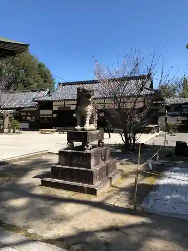 今宮神社の狛犬