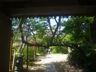 教恩寺のその他建物