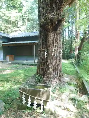建彦神社(神奈川県)