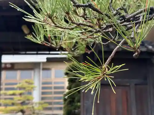 西方山極楽寺(岐阜県)