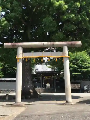 日吉浅間神社の鳥居