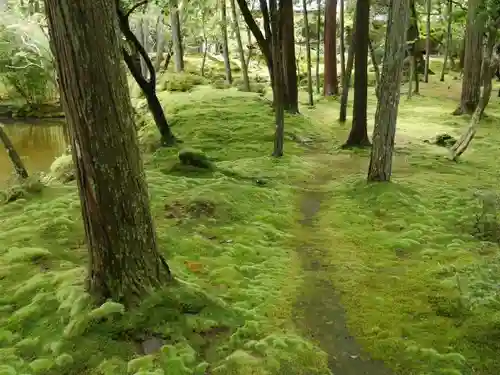 西芳寺の庭園