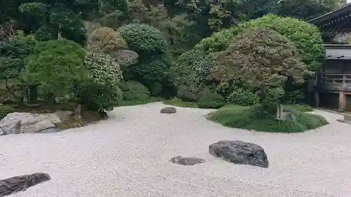 報国寺の庭園