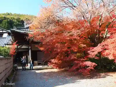 実相院門跡(京都府)