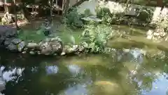 若宮神明社の庭園