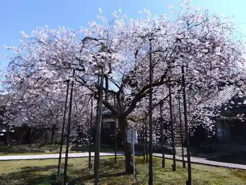 城福寺(福井県)