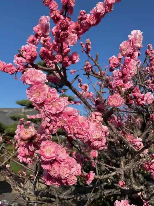 正眼寺(愛知県)