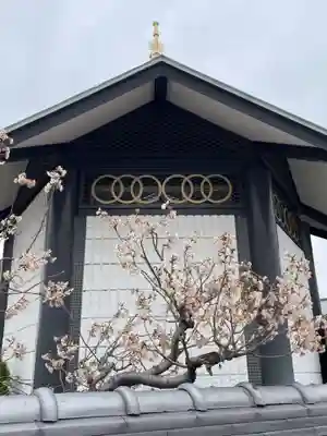 阿彌陀寺(兵庫県)