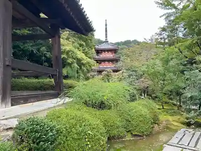 三室戸寺(京都府)
