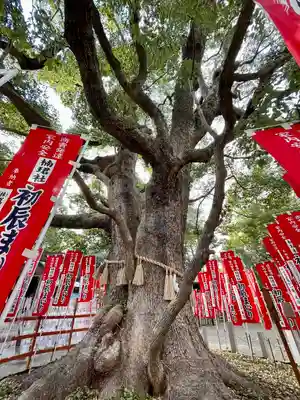 楠珺社（住吉大社末社）(大阪府)